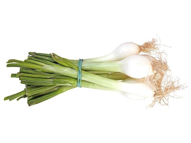 Cibuľka zväzková. / 1ks