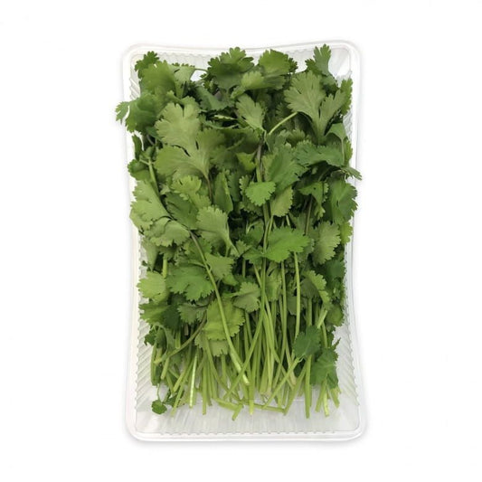 Koriander 100 g vanička. / 1ks